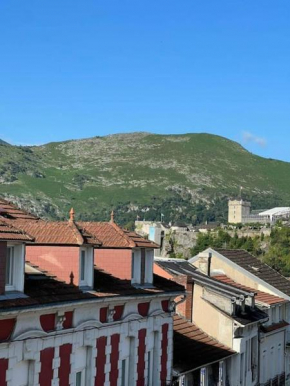 Vue sur le pic du Jer/Confortable/Calme
